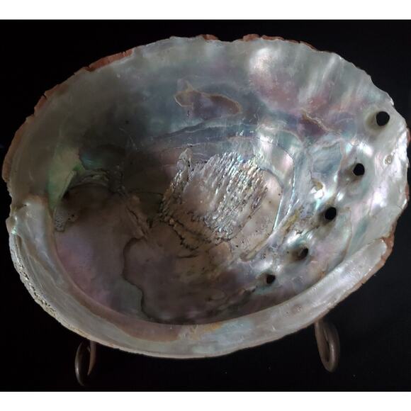 Vintage Large Red Abalone Shell Exquisite Specimen 7.5" Long X 6" Wide X 2" High - Picture 2 of 10